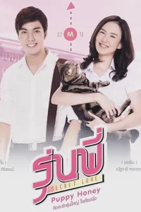 Тайная любовь в старшей школе